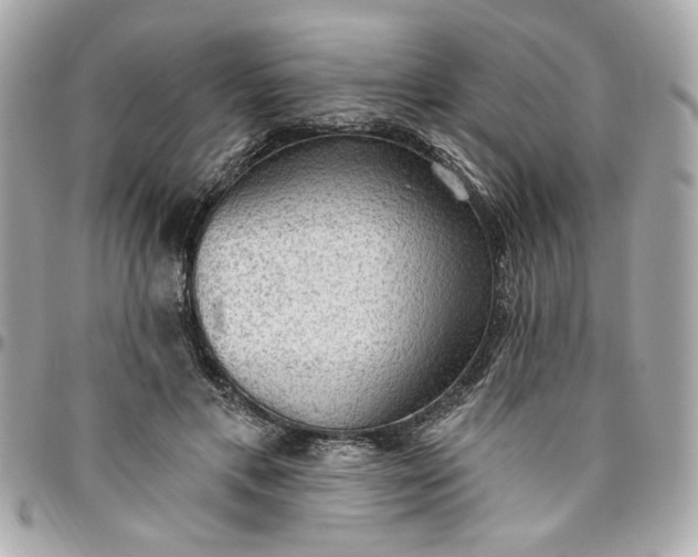 X0000096490597200802071944