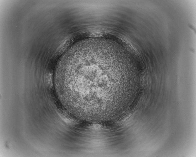 X0000096490598200802071944