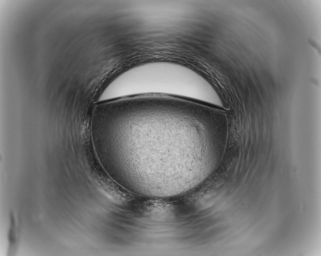 X0000096490601200802071944