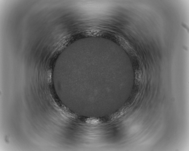 X0000096490602200802071944