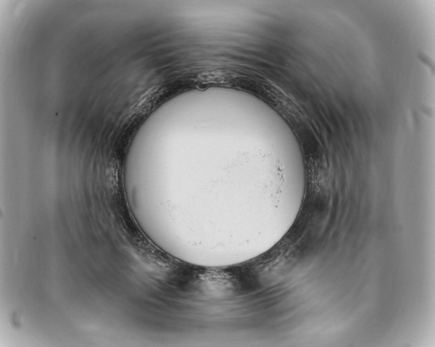 X0000096490603200802071944