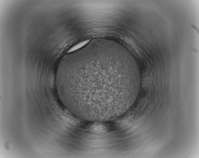 X0000096490604200802071944