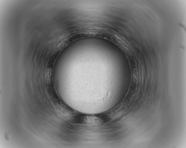 X0000096490605200802071944