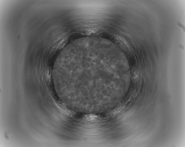 X0000096490607200802071944