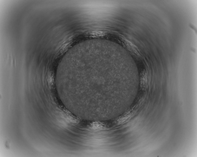 X0000096490608200802071944