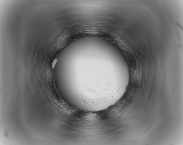 X0000096490609200802071944