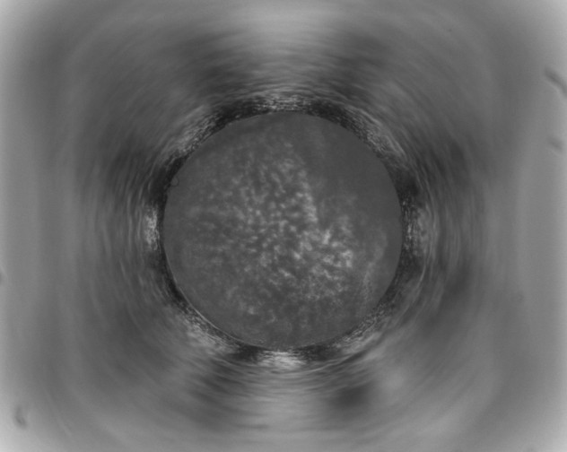 X0000096490610200802071944