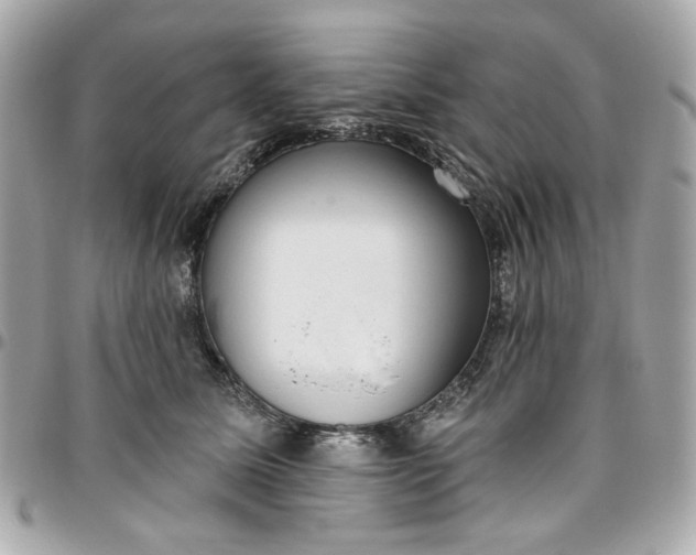 X0000096490611200802071944