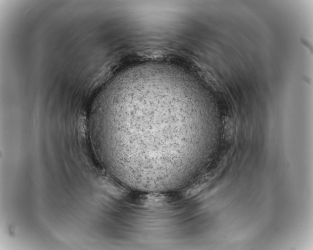 X0000096490612200802071944