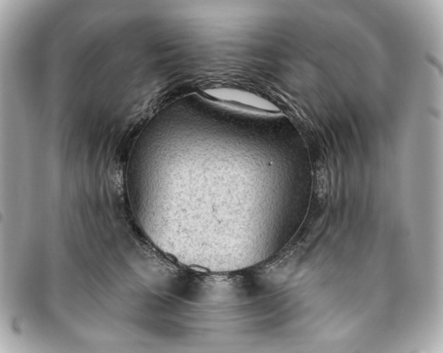 X0000096490613200802071944