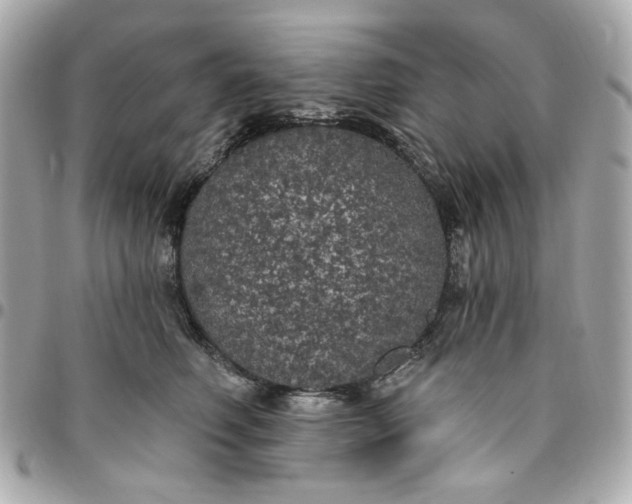 X0000096490614200802071944