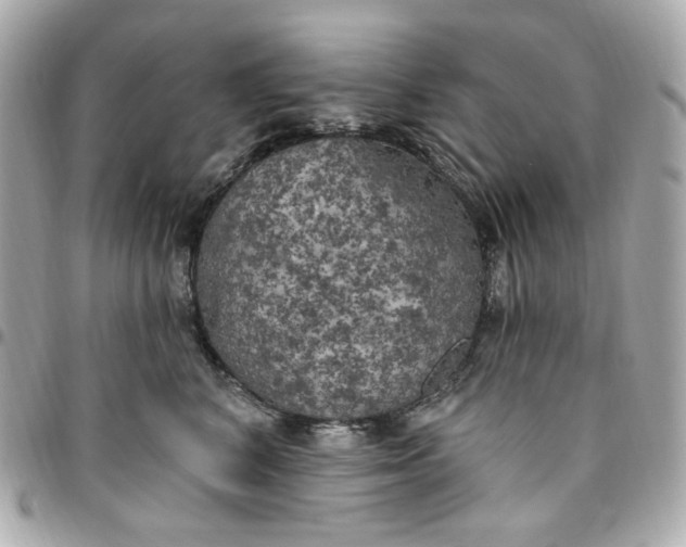 X0000096490616200802071944