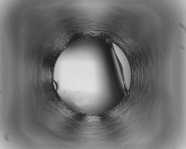 X0000096490617200802071944