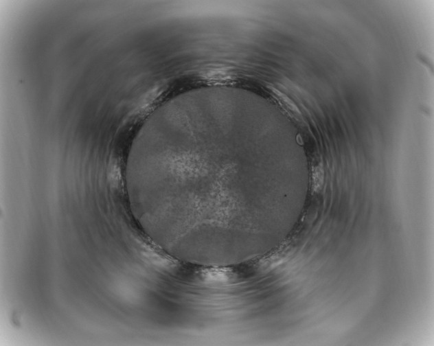 X0000096490618200802071944