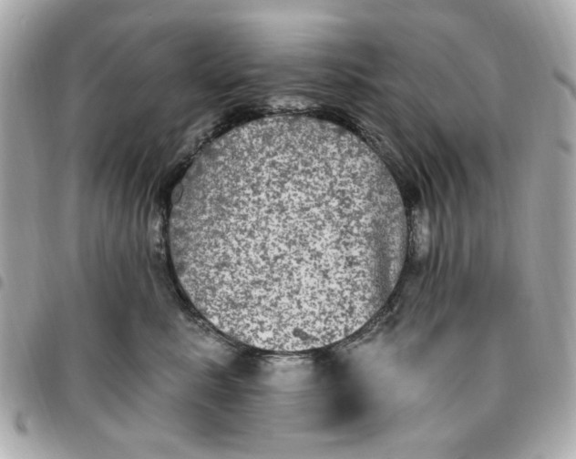 X0000096490619200802071944