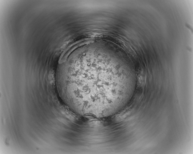 X0000096490620200802071944