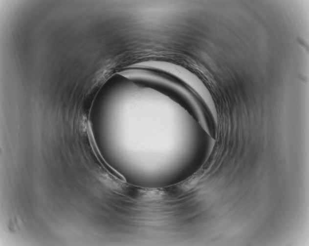 X0000096490621200802071944