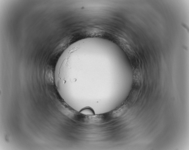 X0000096490622200802071944