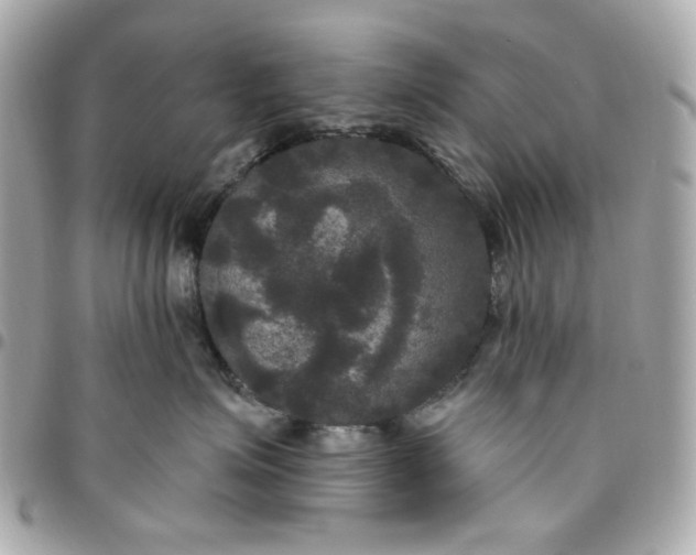 X0000096490623200802071944