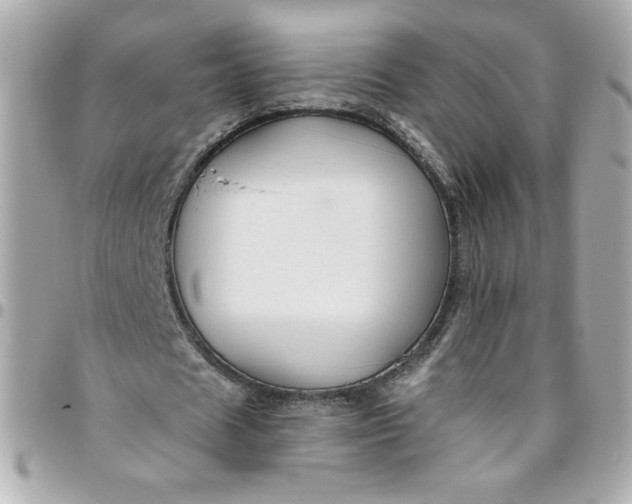 X0000096490625200802071943