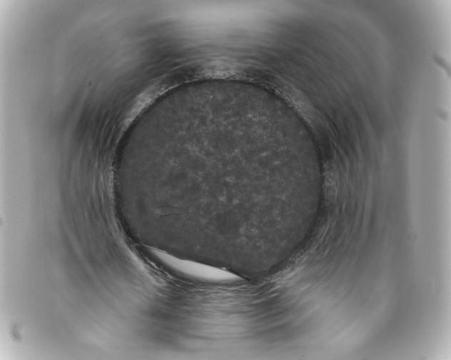 X0000096490626200802071943