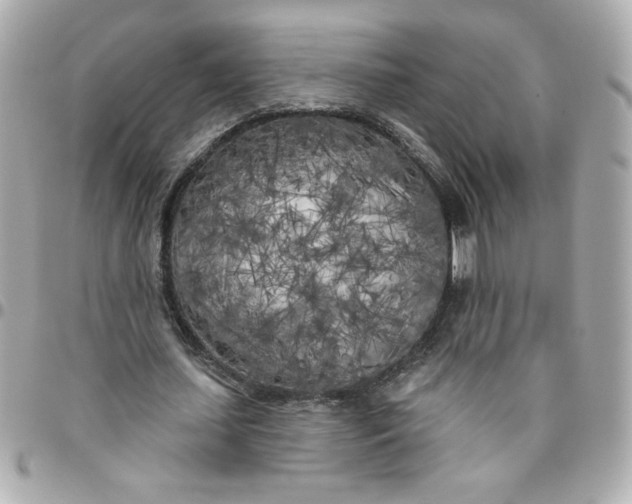 X0000096490627200802071943