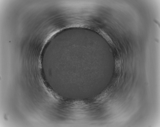 X0000096490628200802071943