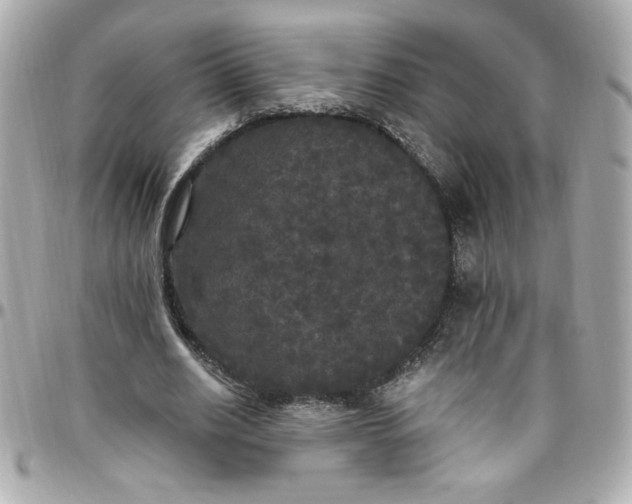 X0000096490630200802071943