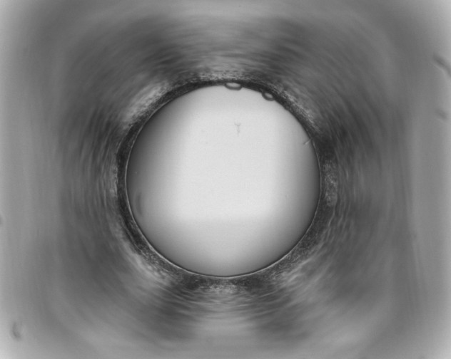 X0000096490631200802071943