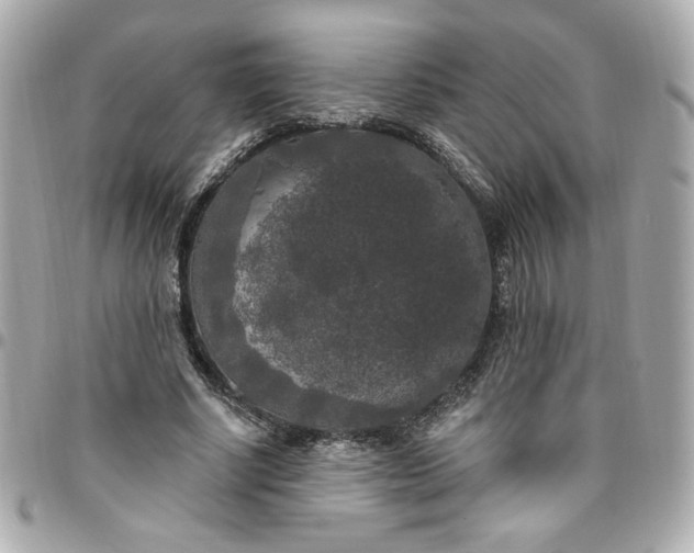 X0000096490634200802071943