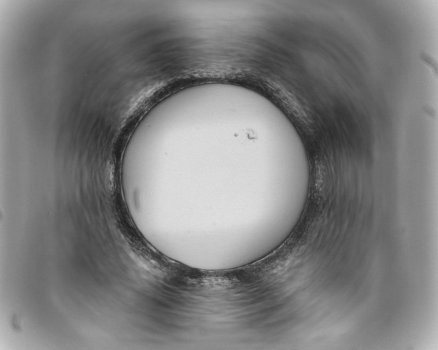 X0000096490636200802071943