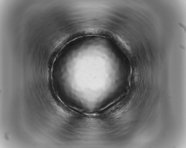 X0000096490637200802071943