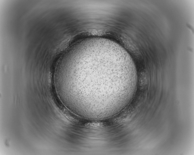 X0000096490639200802071943