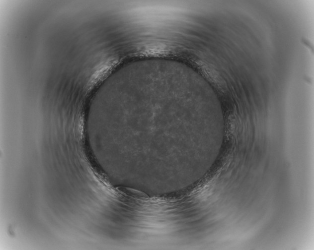 X0000096490640200802071943