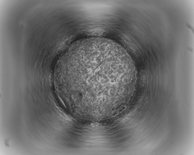 X0000096490641200802071943