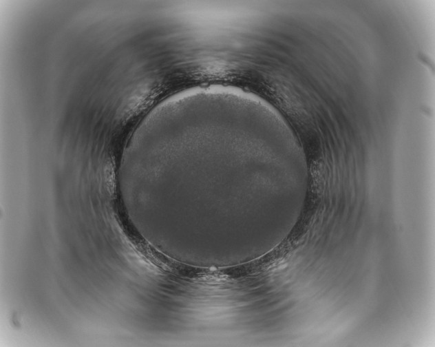 X0000096490642200802071943