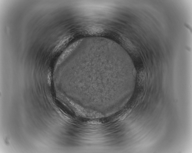 X0000096490644200802071943