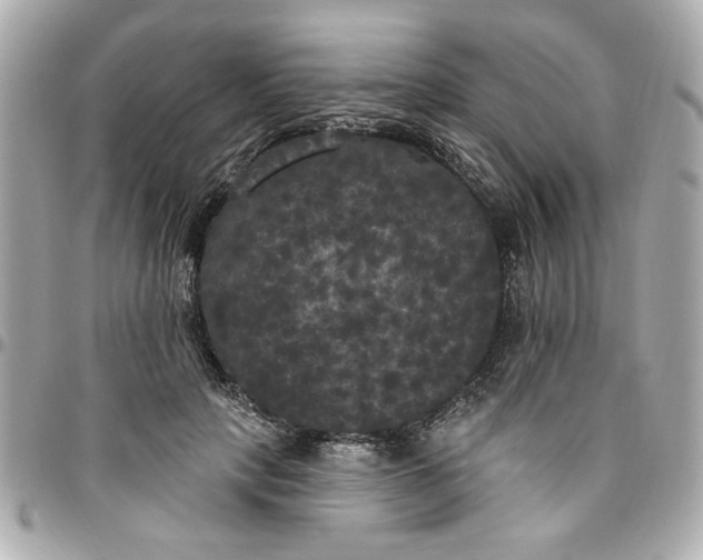 X0000096490649200802071943