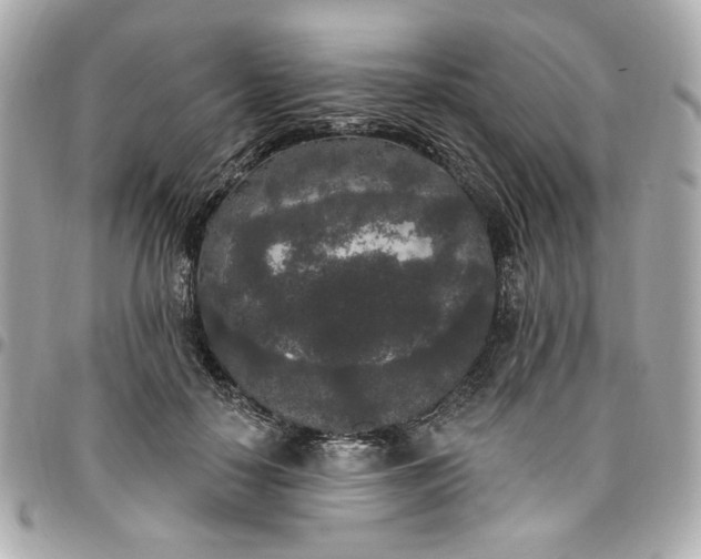 X0000096490650200802071943