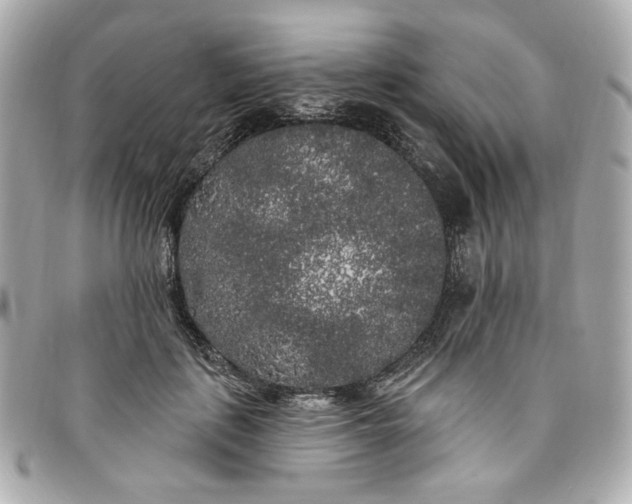 X0000096490651200802071943