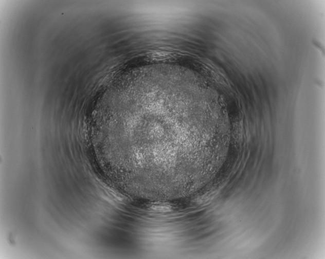 X0000096490653200802071943