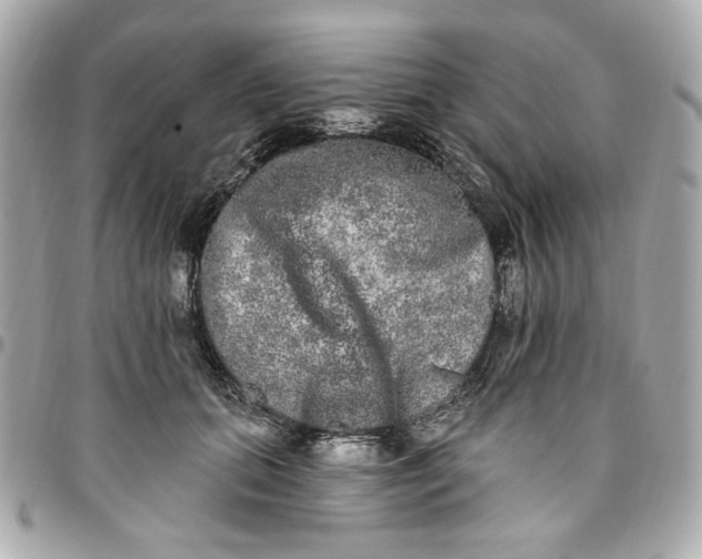 X0000096490655200802071943