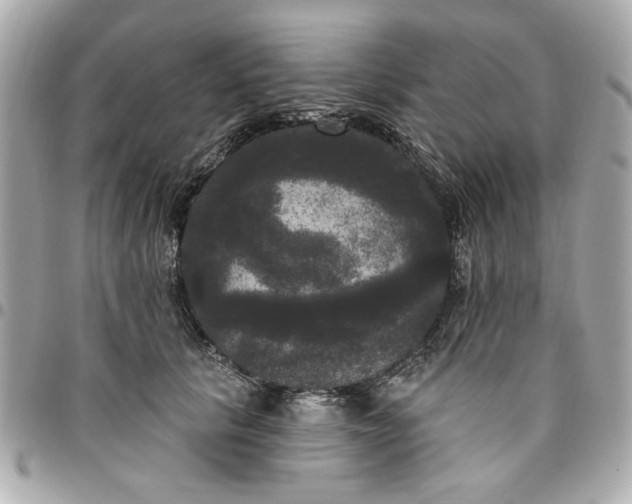 X0000096490657200802071943