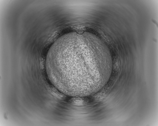 X0000096490658200802071943