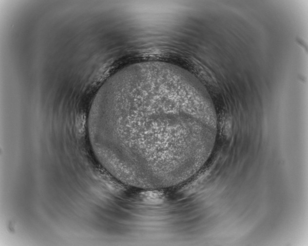 X0000096490660200802071943