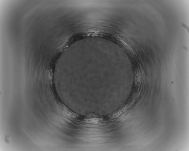 X0000096490661200802071943