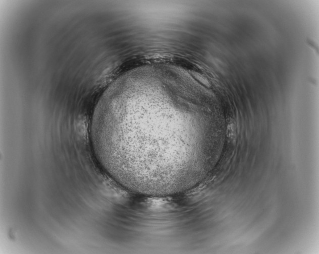 X0000096490662200802071943