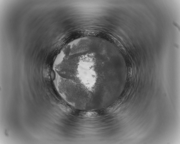 X0000096490663200802071943