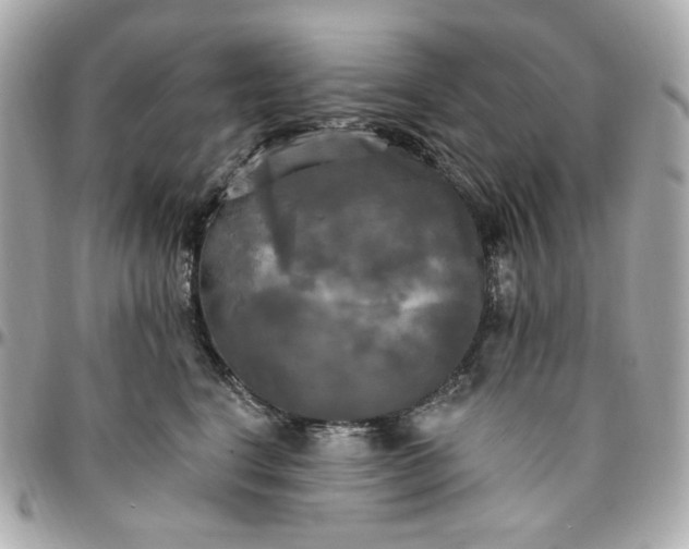 X0000096490664200802071943