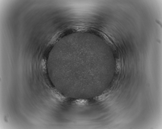 X0000096490667200802071944